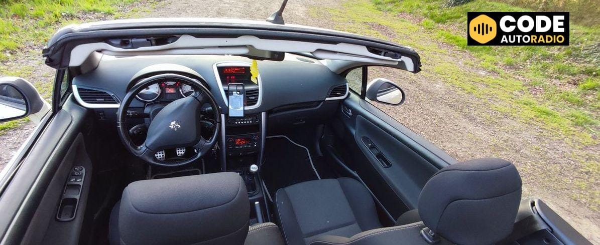 Un système antipollution défaillant d’une 207 : les causes